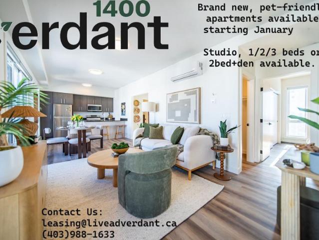 1 Bedroom Apartment Calgary AB LS98313584