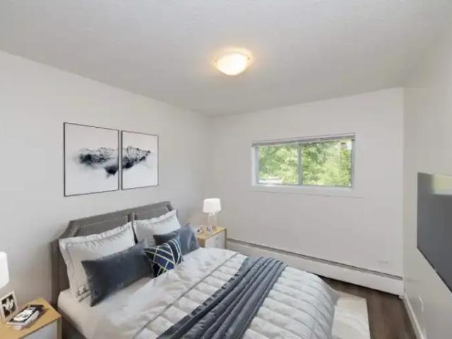 1 Bedroom Apartment Calgary AB LS101014894