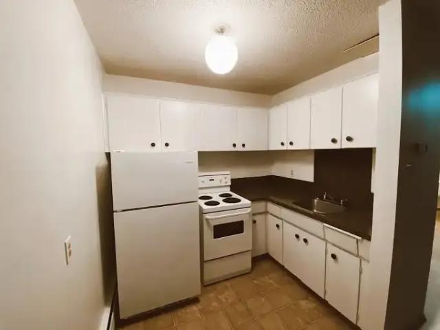 1 Bedroom Apartment Calgary AB LS103011660