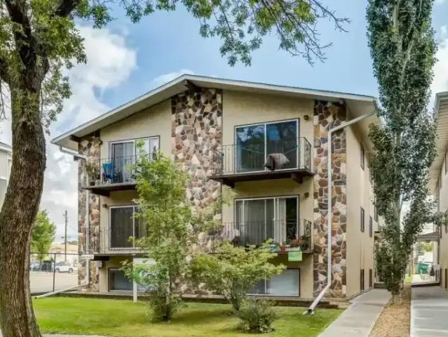 1 Bedroom Apartment Camrose AB 99673489