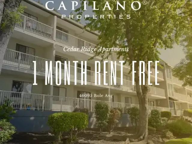 1 Bedroom Apartment Chilliwack BC 103651347