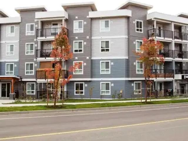 1 Bedroom Apartment Comox BC 102845189