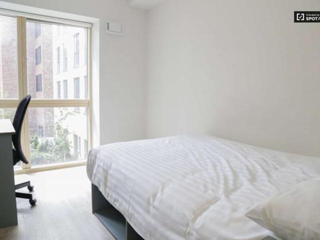 1 Bedroom Apartment Dublin Dublin D07 C956 65791643