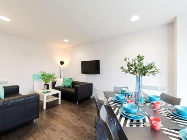 1 Bedroom Apartment Dublin Dublin D08 R596 96066543