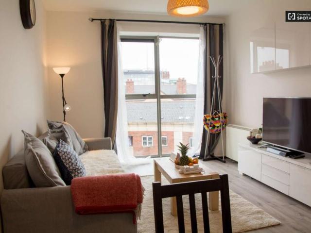 1 Bedroom Apartment Dublin Dublin D01 E167 101821533