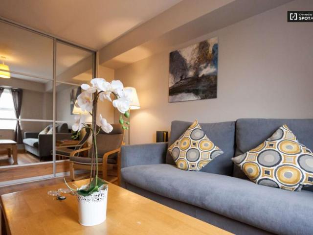 1 Bedroom Apartment Dublin Dublin D01 T928 LS101771175
