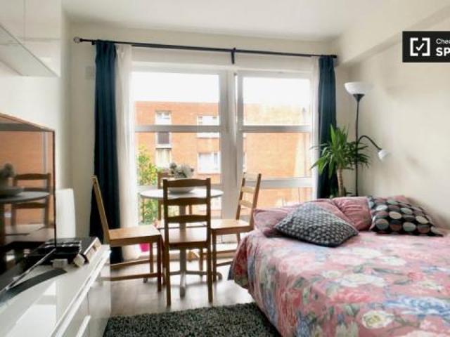 1 Bedroom Apartment Dublin Dublin DUBLIN 1 ELS54192118