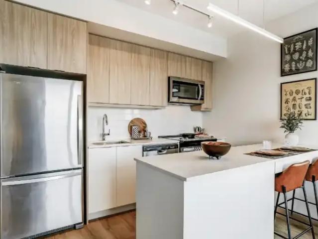 1 Bedroom Apartment Etobicoke ON 105281381