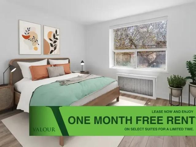 1 Bedroom Apartment East York ON 96249252