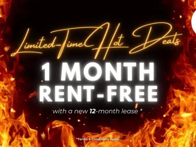 1 Bedroom Apartment East York ON 99460123
