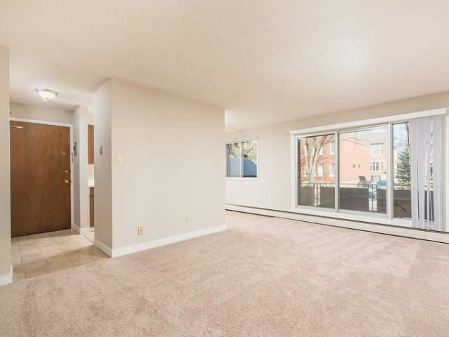 1 Bedroom Apartment Edmonton AB LS91650766