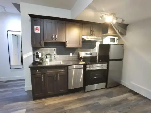 1 Bedroom Apartment Edmonton AB LS94645318
