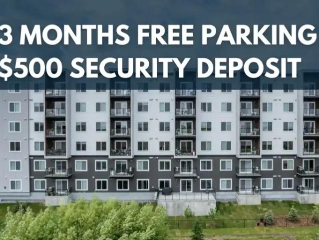1 Bedroom Apartment Edmonton AB LS96817912