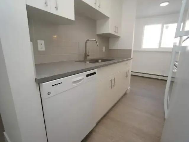 1 Bedroom Apartment Edmonton AB LS97736133