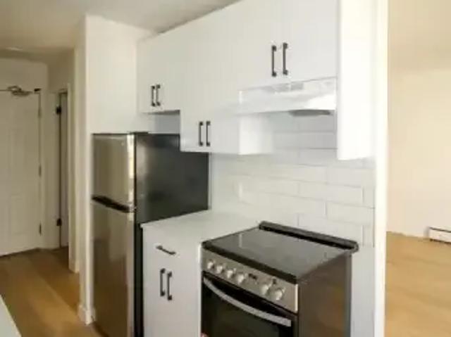 1 Bedroom Apartment Edmonton AB LS98490362