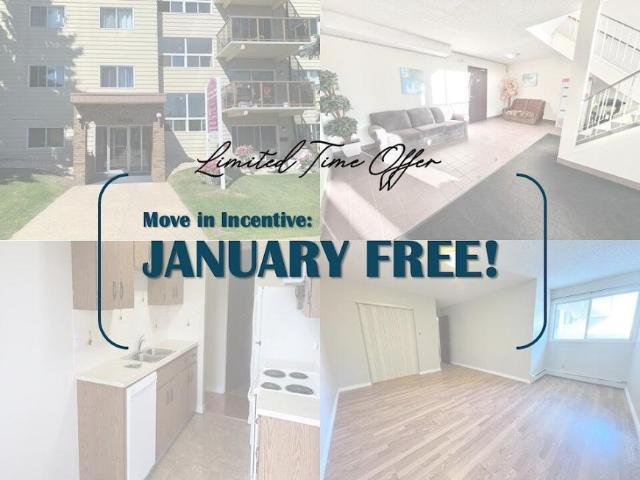 1 Bedroom Apartment Edmonton AB LS98312084
