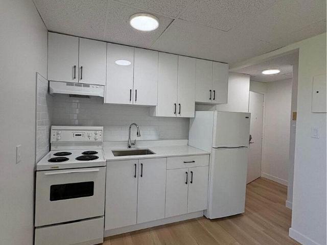 1 Bedroom Apartment Edmonton AB LS98314875