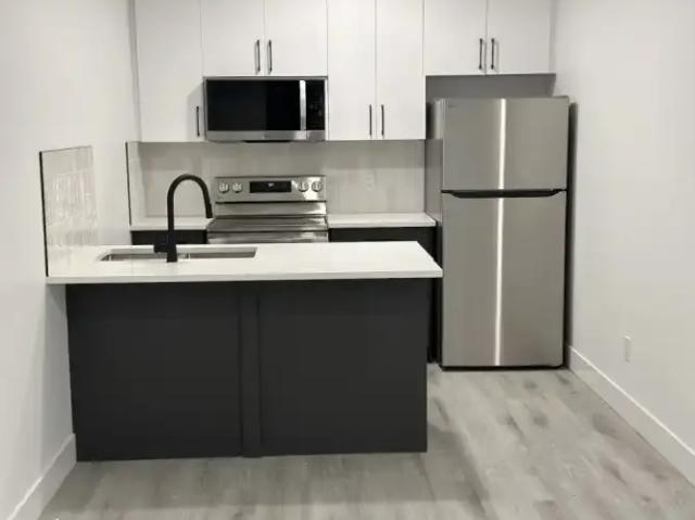 1 Bedroom Apartment Edmonton AB LS98363734