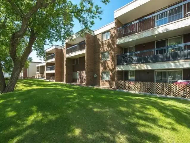 1 Bedroom Apartment Edmonton AB LS98374836