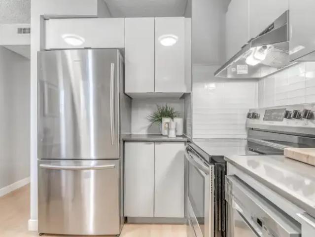 1 Bedroom Apartment Edmonton AB 100487272