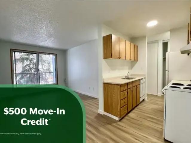 1 Bedroom Apartment Edmonton AB 100668004
