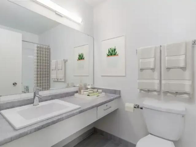 1 Bedroom Apartment Edmonton AB 101686267