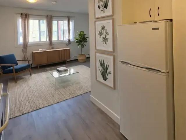 1 Bedroom Apartment Edmonton AB 101789538