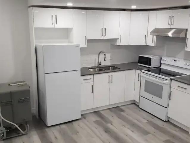 1 Bedroom Apartment Edmonton AB 101877673