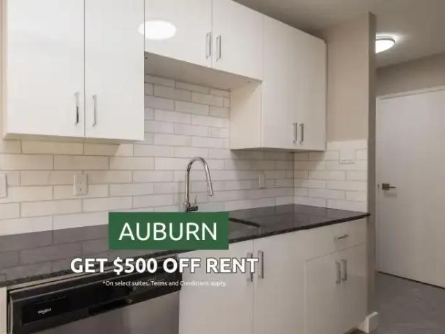 1 Bedroom Apartment Edmonton AB 102551621
