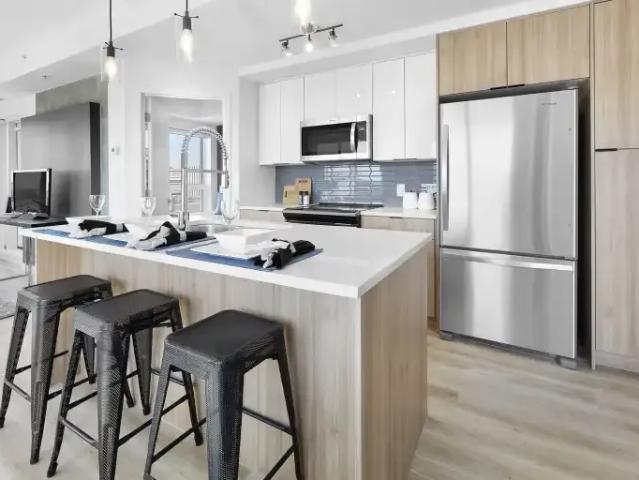 1 Bedroom Apartment Edmonton AB 102845659