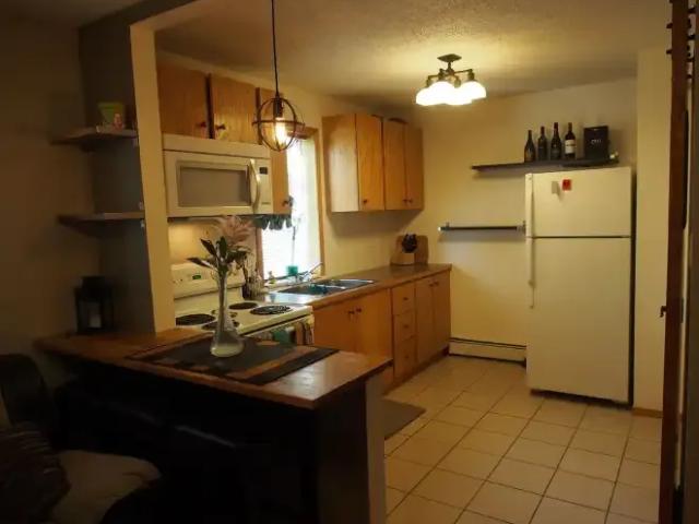 1 Bedroom Apartment Edmonton AB 104180211