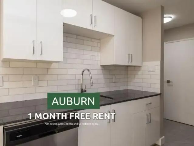 1 Bedroom Apartment Edmonton AB 104681509