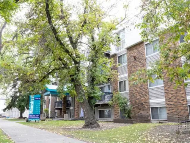 1 Bedroom Apartment Edmonton AB 104637358