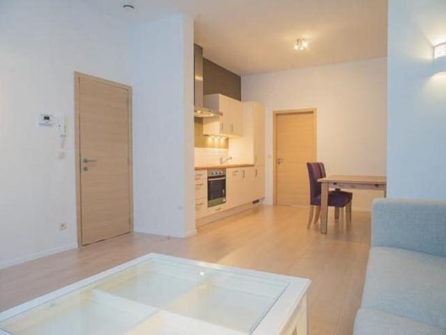 1 bedroom apartment, EPC B, Ghent