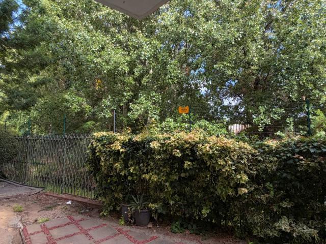 1 Bedroom Apartment / Flat To Rent in Stellenbosch Central