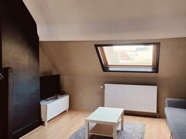 1 bedroom apartment for rent in Matongé, Brussels