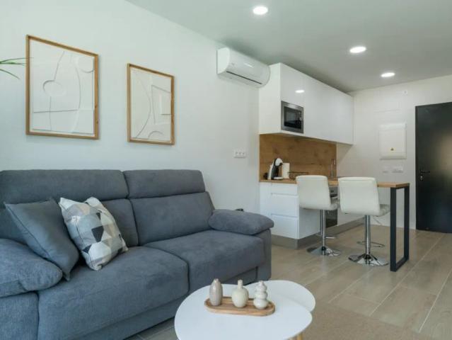 1 bedroom apartment for rent in Mogán, bills included