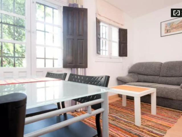 1 bedroom apartment for rent in Albaycín, Granada
