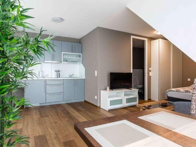 1 bedroom apartment for rent in Alservorstadt, Vienna