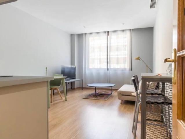 1 bedroom apartment for rent in Bellas Vistas, no restrictions