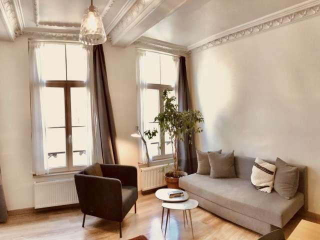 1 bedroom apartment for rent in Brussels