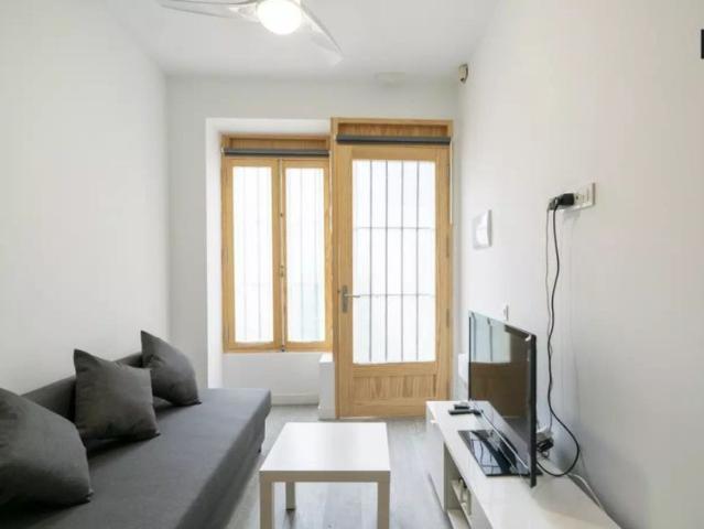 1 bedroom apartment for rent in Cabanyal Canyamelar, smoking and pets allowed