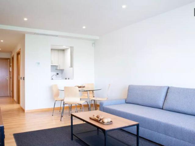 1 bedroom apartment for rent in Canillas, bills included