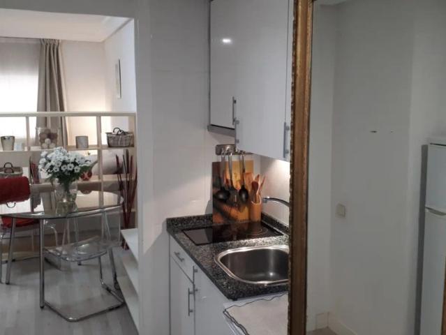 1 bedroom apartment for rent in Castellana, Madrid