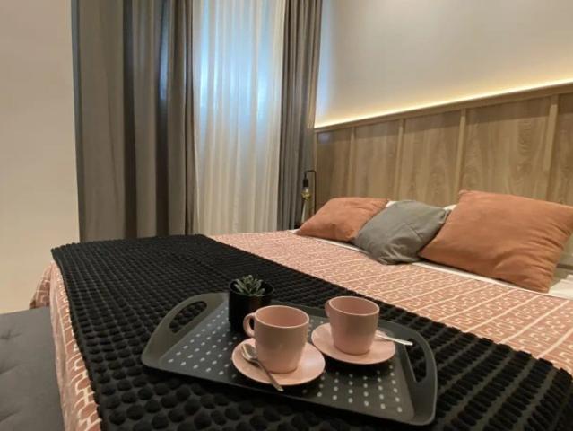 1 bedroom apartment for rent in Chopera