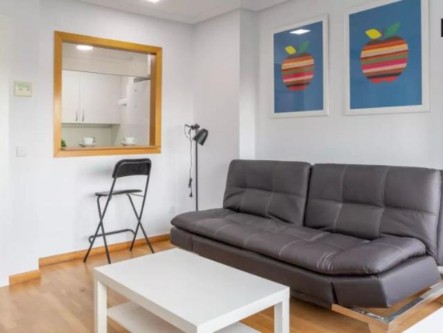 1 bedroom apartment for rent in Costillares, no pets
