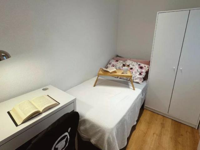 1 bedroom apartment for rent in Delicias