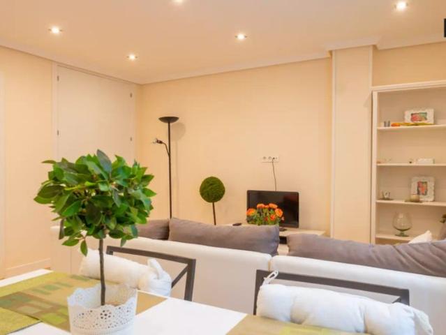 1 bedroom apartment for rent in El Viso