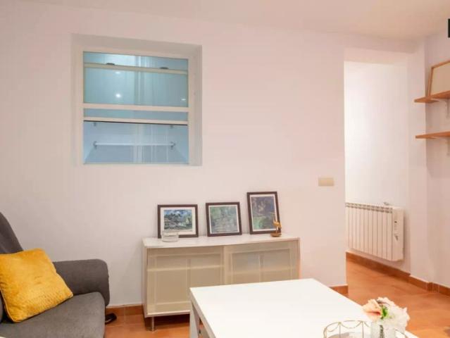 1 bedroom apartment for rent in Embajadores, Madrid