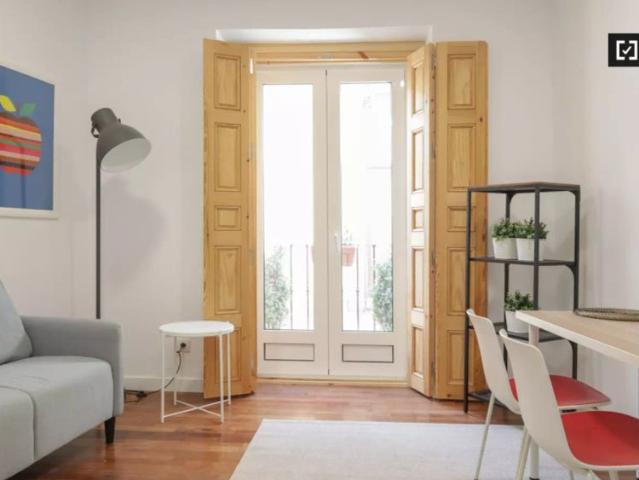1 bedroom apartment for rent in Embajadores
